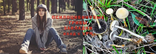 крисы Вязники