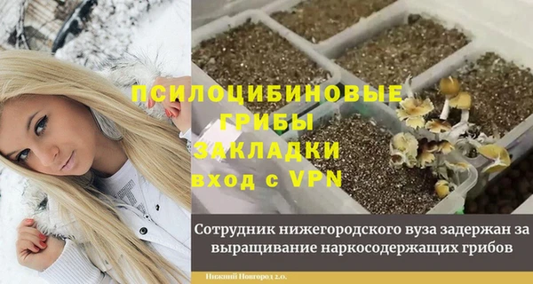 крисы Вязники
