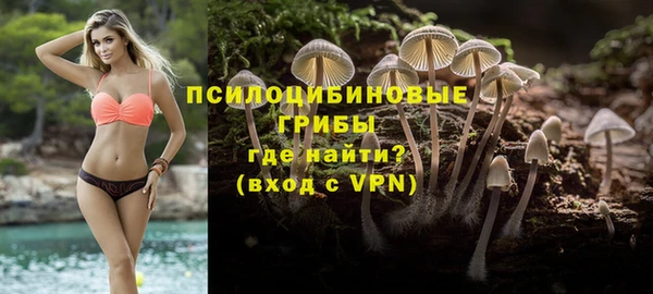 гидропоника Вяземский