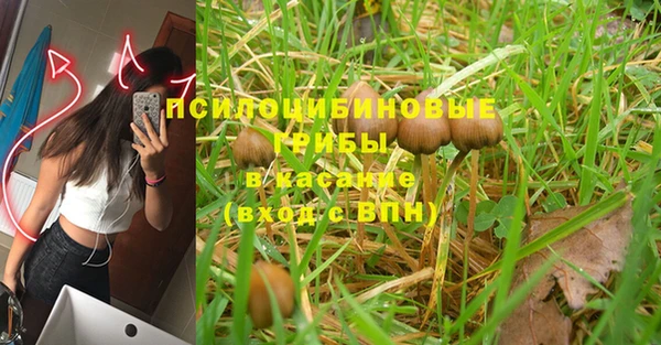 гидропоника Вяземский