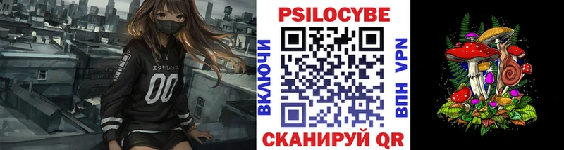 где можно купить наркотик Иваново Галлюциногенные грибы Psilocybe