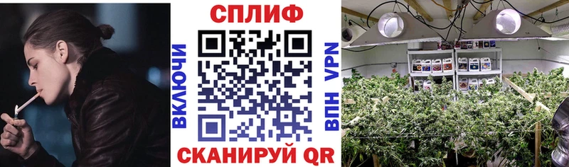 блэк спрут сайт  где можно купить наркотик  Иваново  Каннабис сатива 